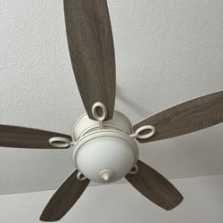 Ceiling Fan With Light And Remote 