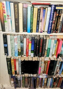 Large Book Lot – Mixed Genres – Many Titles – Great for Readers, Resellers, or a Home Library