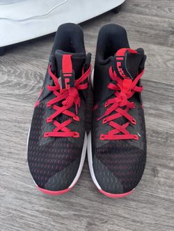 Nike Lebrons