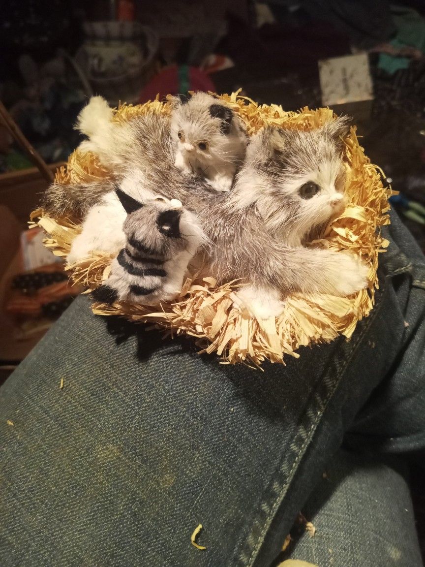 Vintage Real Fur Kitty Cats Collectable 