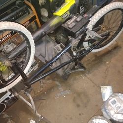 DK Raven 20" BMX Bike 