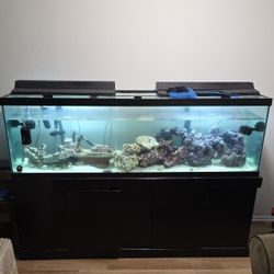 125 Gallon Fish Tank W/ Accesories
