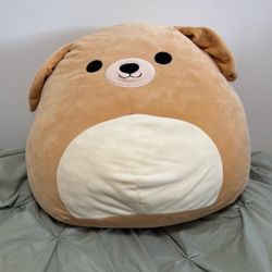 Dog Squishmallow