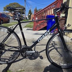 Giant Hybrid Bike Size Large
Great Condition Ready to Ride 