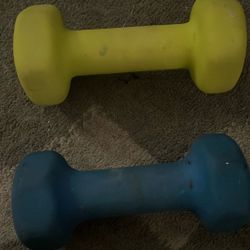 5lb Weights ( Green & Blue )