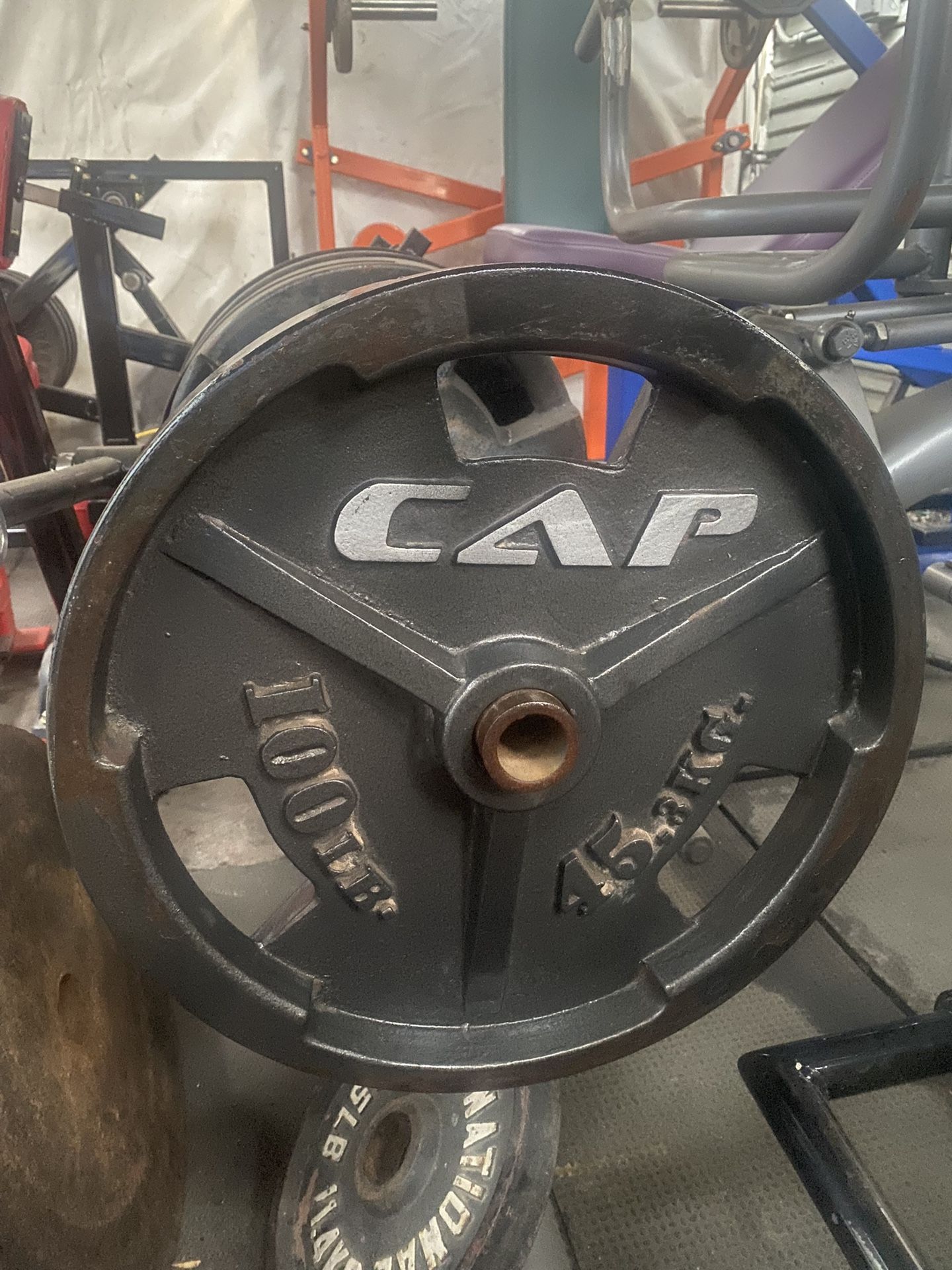 100 Pound Olympic Weight Plates Pair Powerlifting