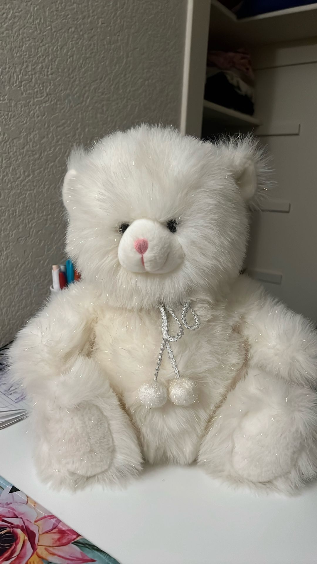 Teddy bear
