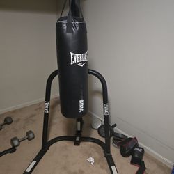 Heavy Bag With Stand