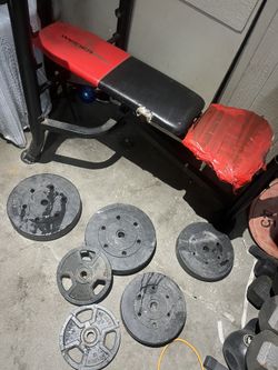 Assortment Of Weights And Lifting Bench