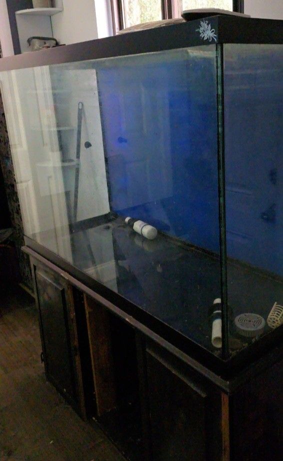 120 gallon Fish Tank With Filter And Stand