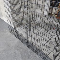 Dog Kennel🐕‍🦺🦴🐾