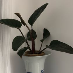 Prismacolor Rojo Congo