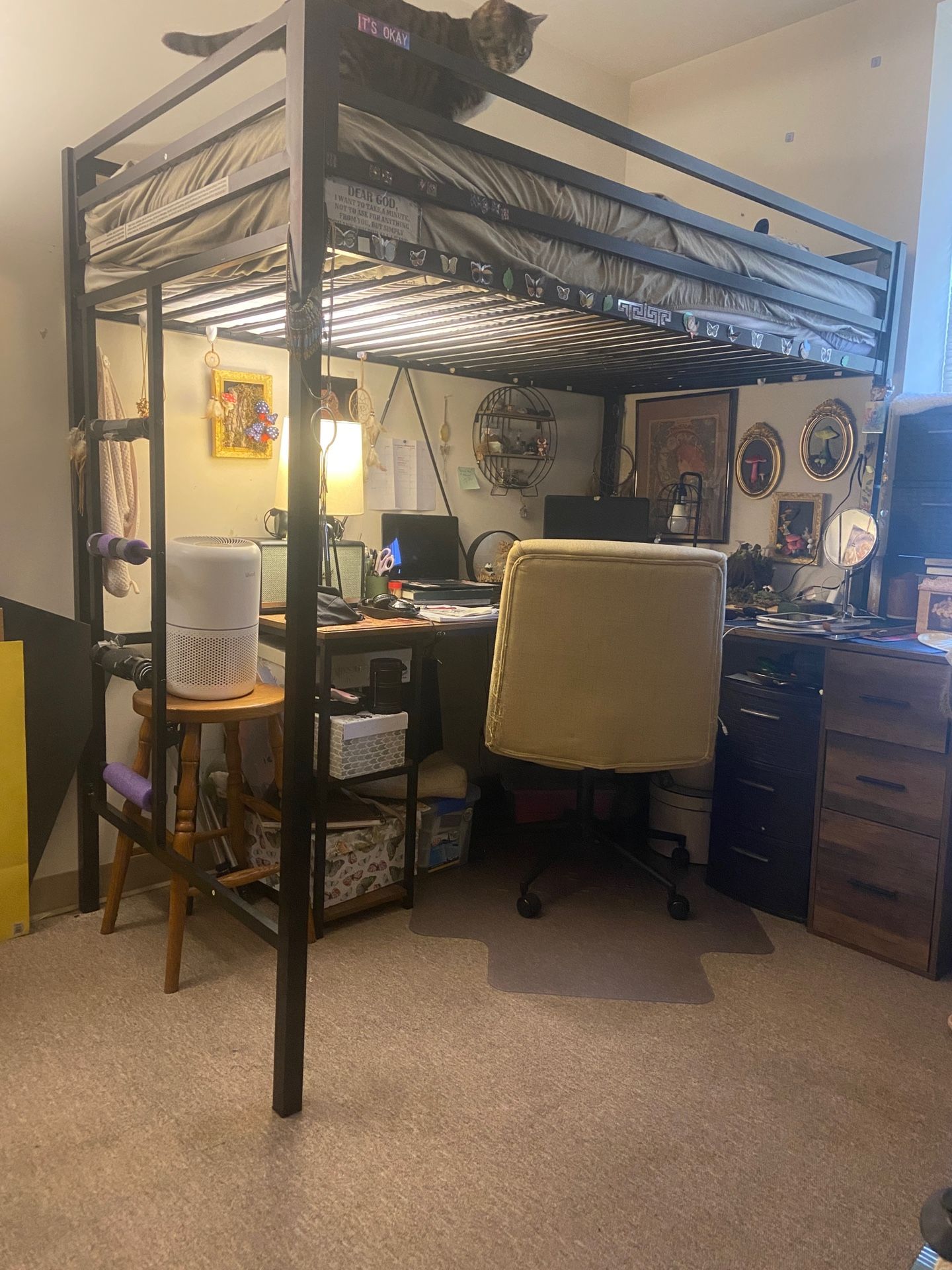 Bed Frame Only