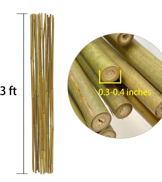 BAMBOO Poles