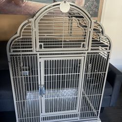 Bird cage 