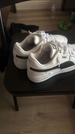 Pumas lows