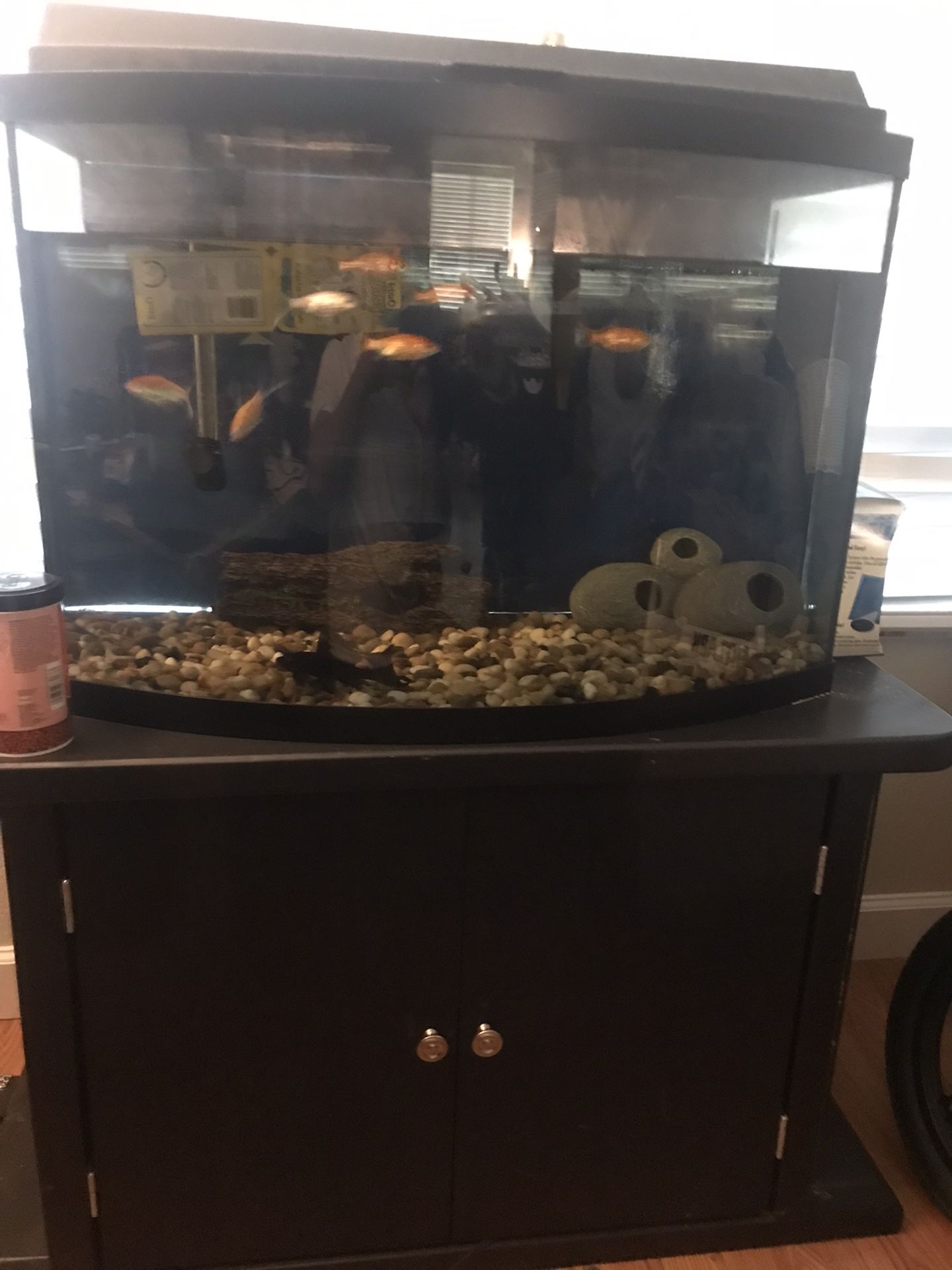 40 Gallon Fish Tank With Stand Etc