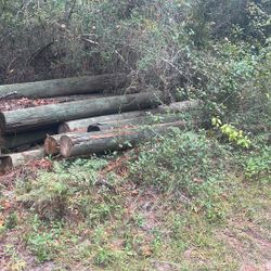 Piling. marine Treated.  Different Sizes