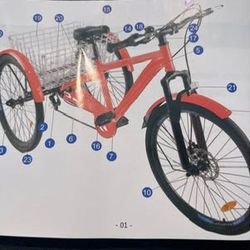Adult Tricycle 