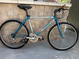 1991 Raleigh Technium Mountain Bike