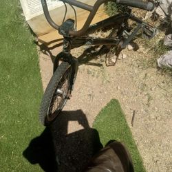 Redline 20 Inch Bmx XX Edition