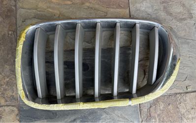 BMW kidney grill
