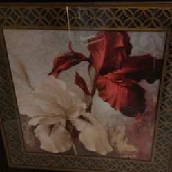 Framed Red and White Floral Wall Art