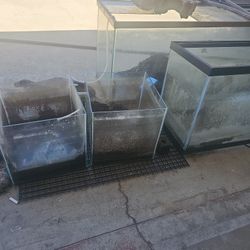 Aquariums