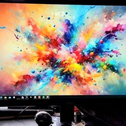 Acer 24 in Monitor LED