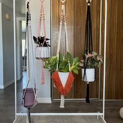 Plant Hangers
