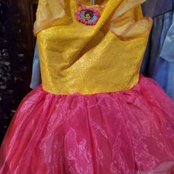 Fancy nancy dress
