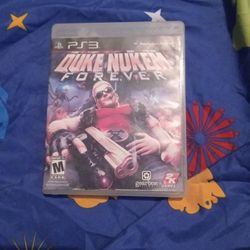 Ps3 Duck Nukem Forever 