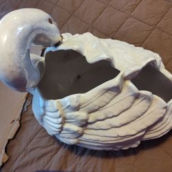 Beautiful swan bug gold mouth