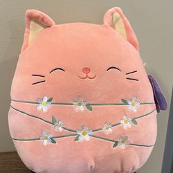 Squishmallow