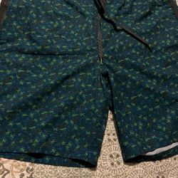 Men Water Shorts