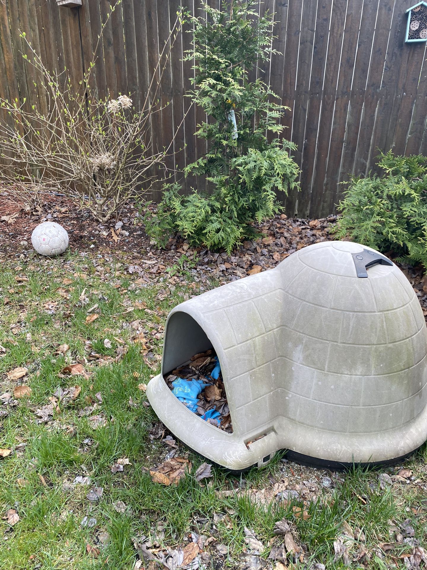 dog/cat Igloo