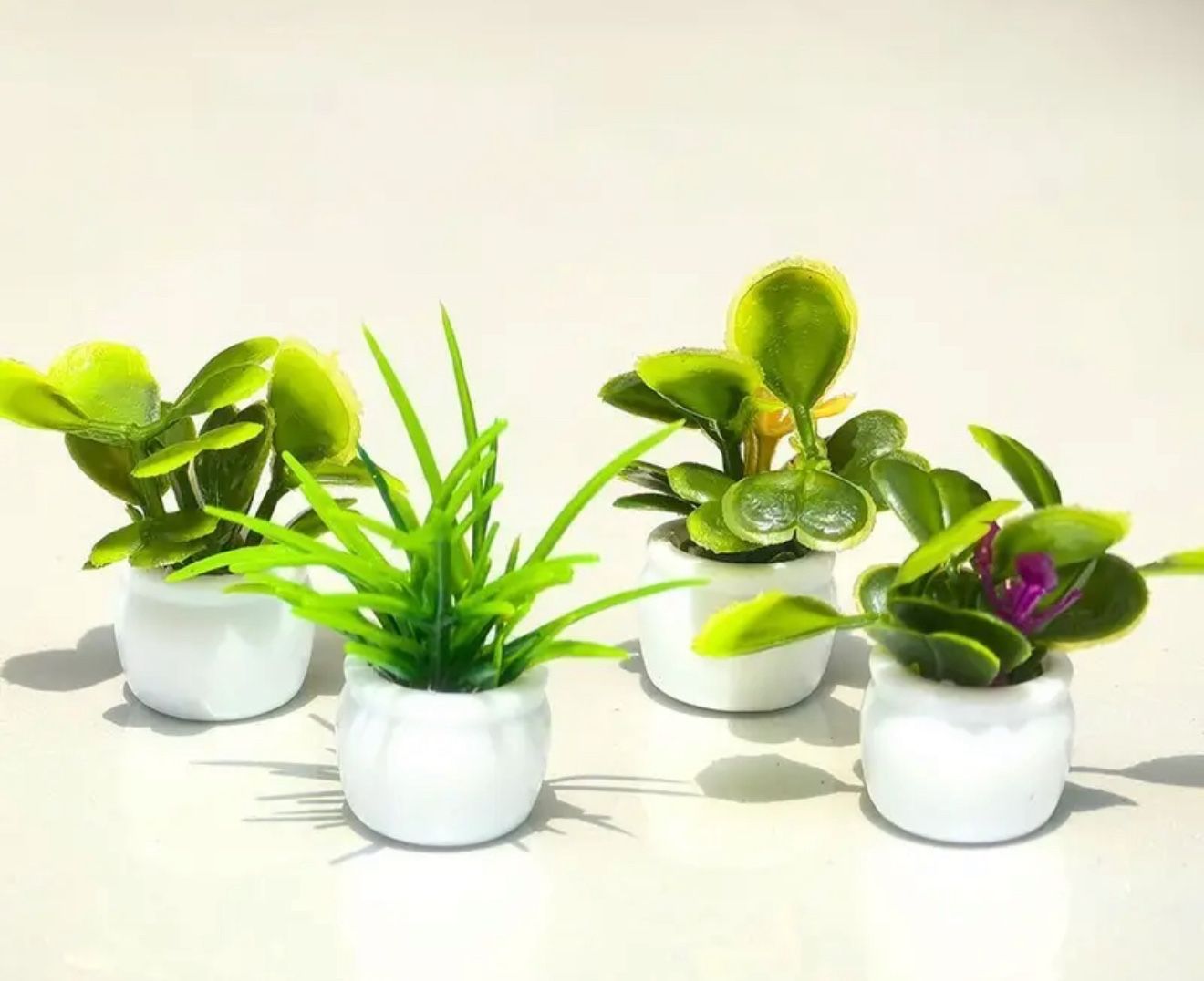 Set Of 4 Miniature Succulents