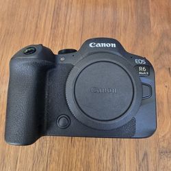 Canon EOS R6 mark II; Shutter Count 2700