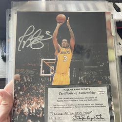 Hall Of Fame Sports Basketball Signed Photo By Trevor Ariza 