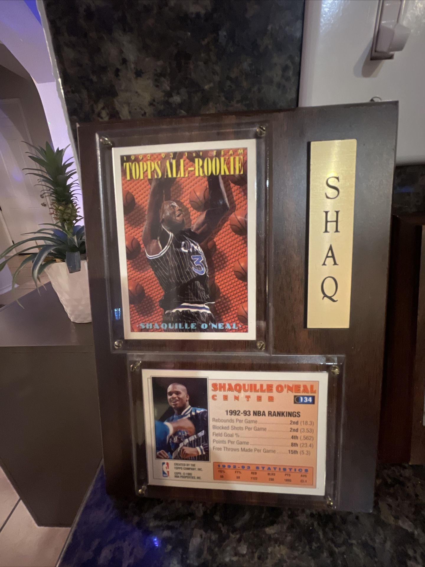 SHAQQQQ DADDDYYY!!!!