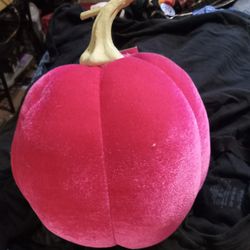 Pink Pumpkin