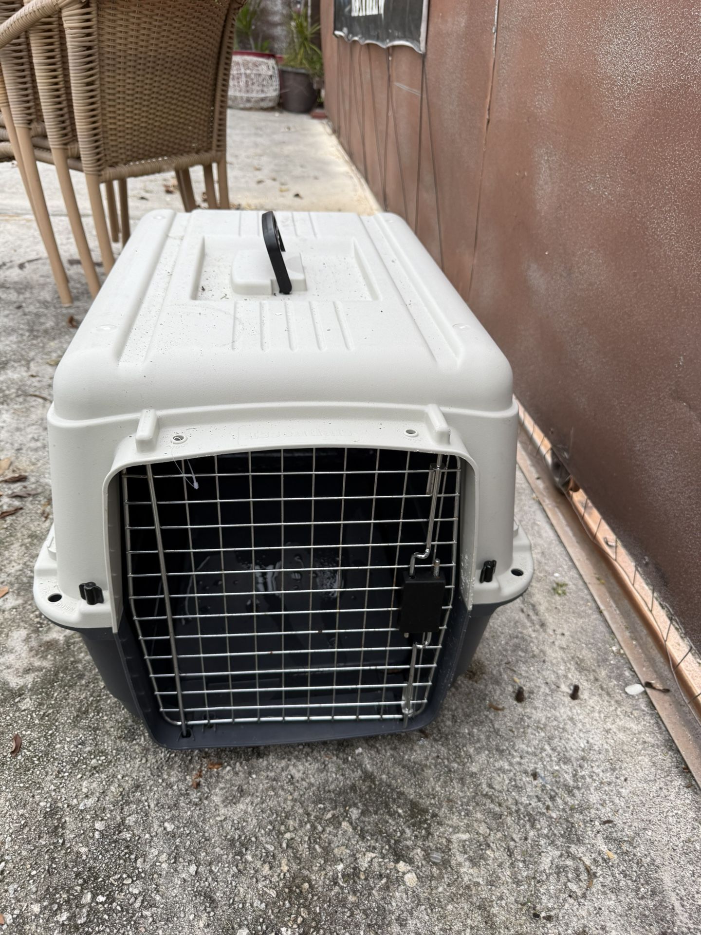 dog crate 