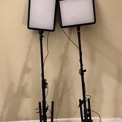 STUDIO LIGHTS