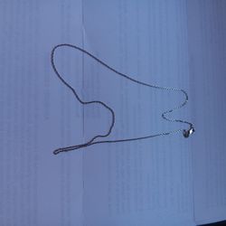 Silver Chain