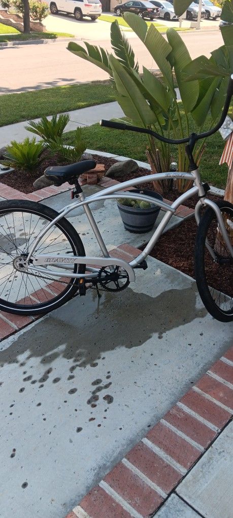 Beach Cruiser