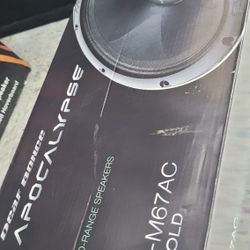 Dead bounce Arnold 300RMS 6.5 Pair 