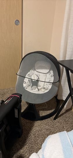 Bassinet and swing