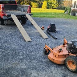 Lawn Cut $60