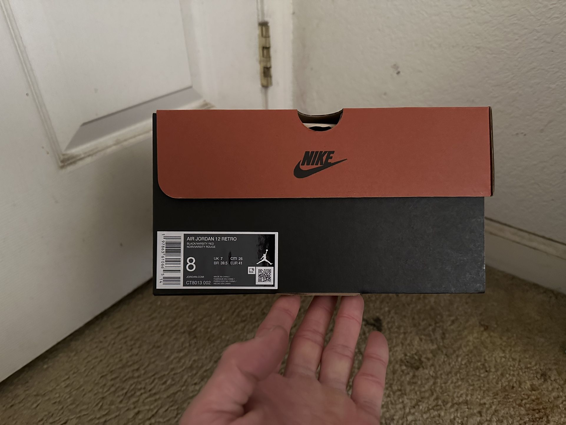 Jordan 12 Flu Game