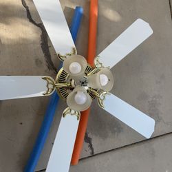 Celing Fan